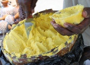 Shea butter production